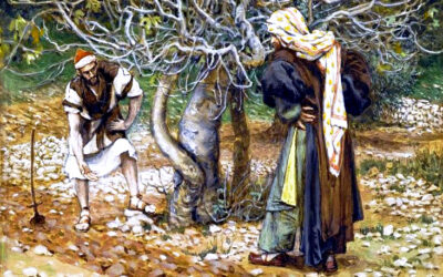 “In Cammino con la Parola: Vangelo della Quaresima” III DOMENICA DI QUARESIMA – ANNO C